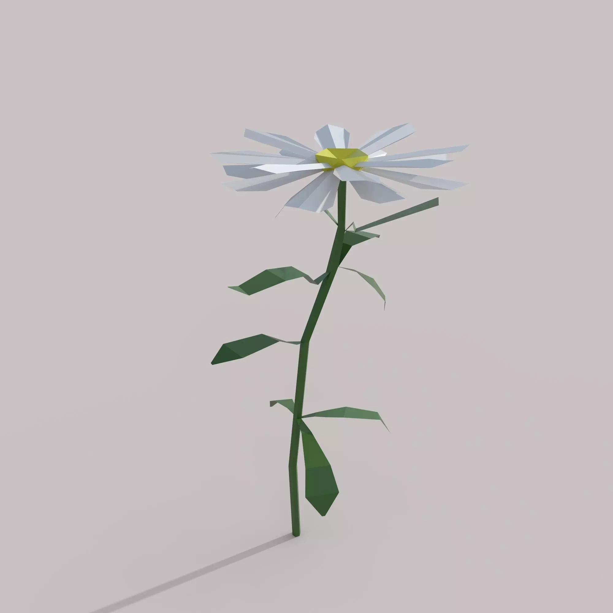 Flower Free low-poly 3D model_0