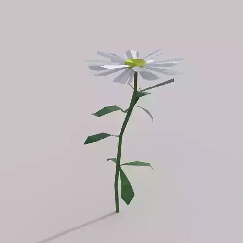Flower  Free low-poly 3D model