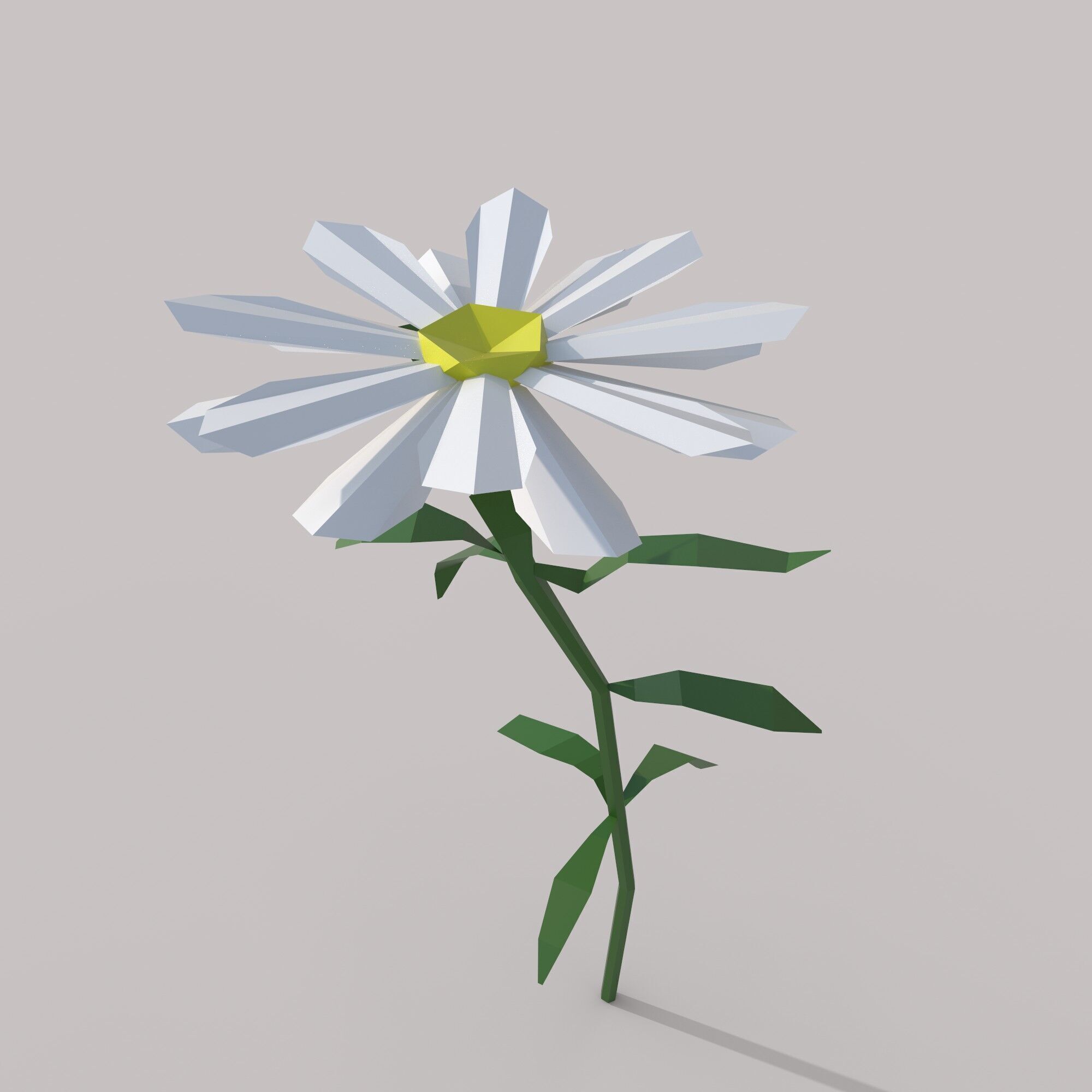 Flower Free low-poly 3D model_4