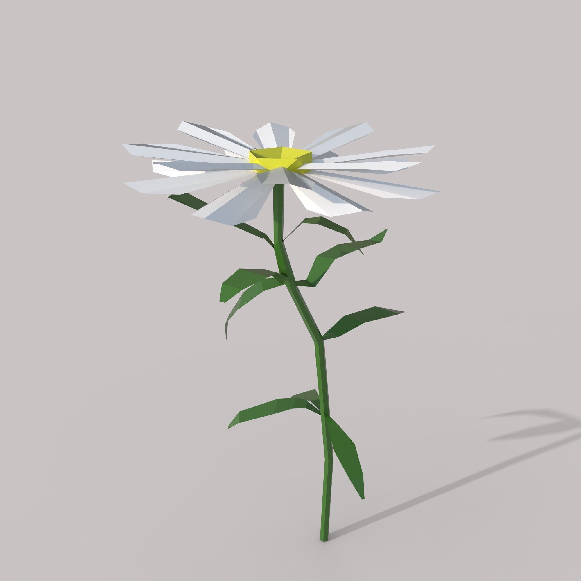 Flower Free low-poly 3D model_3