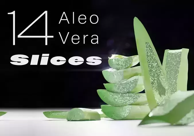 Aleo Vera Slices Vol 1 Beauty Essentials 3D model