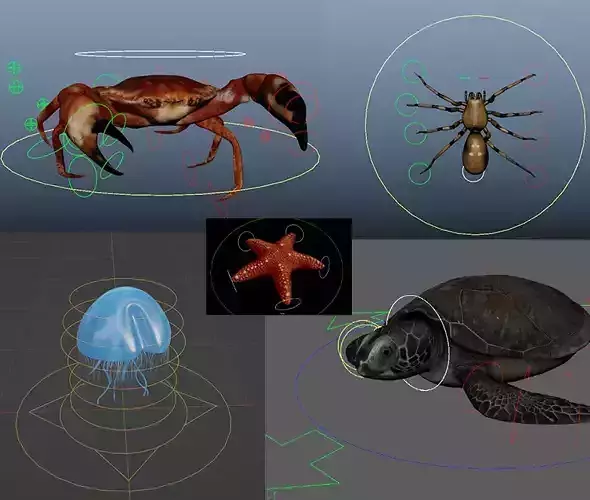 Animals Rig and Animation Pack