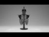 skeleton wine bottle  3D model_1