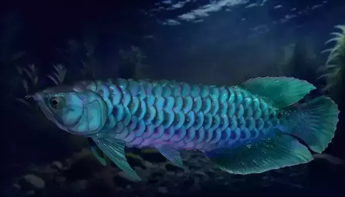 Arowana  3D print model