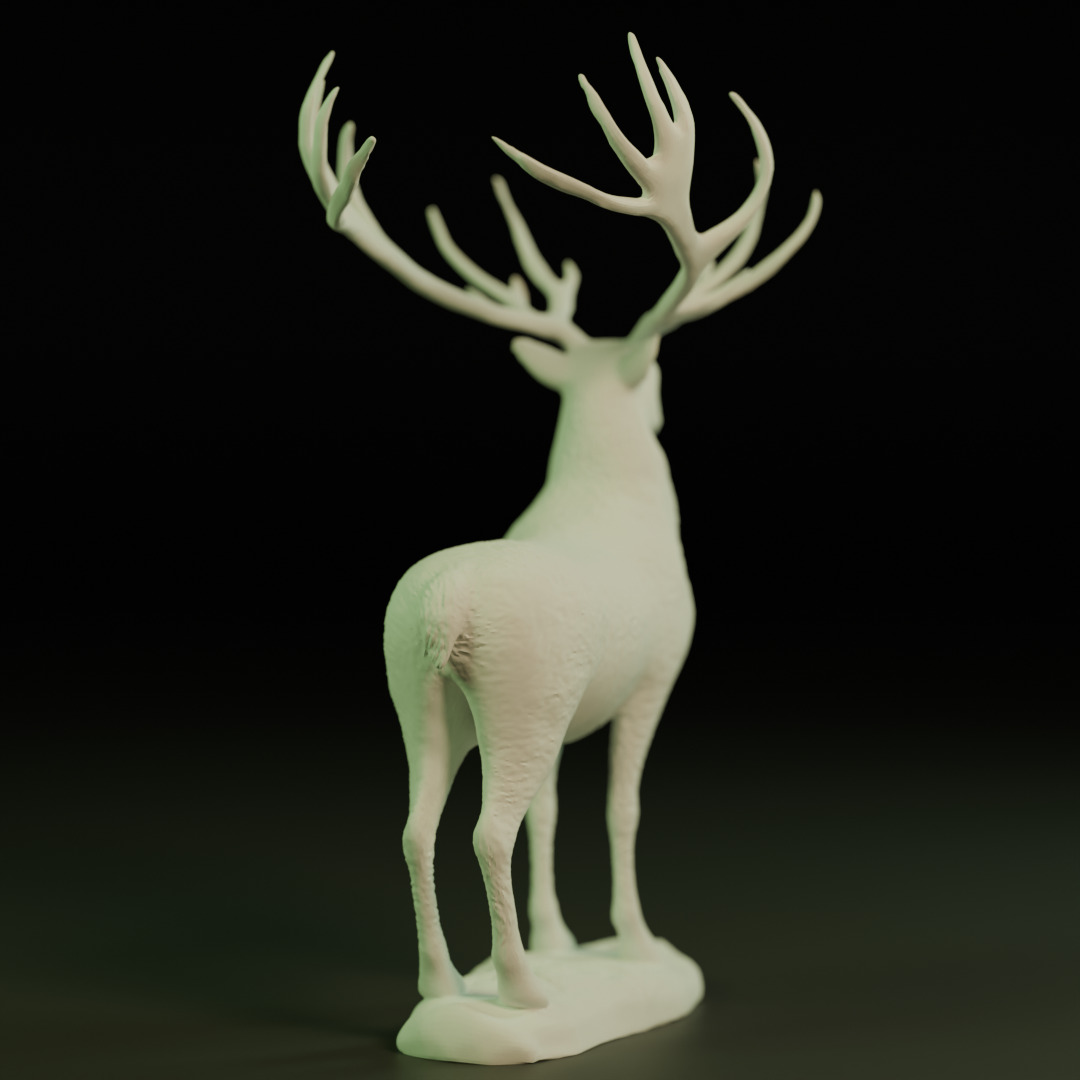 young deer 3D print model_6