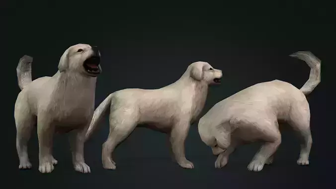 dog character rigged animated Low-poly 3D model