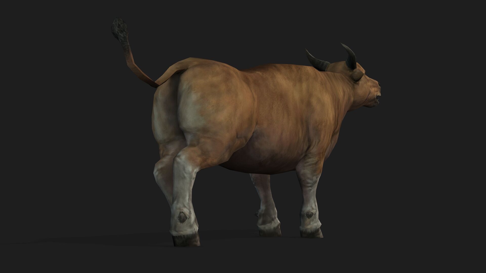 Realistic Cow Bull with Rigged body and Animation Low-poly 3D model_3