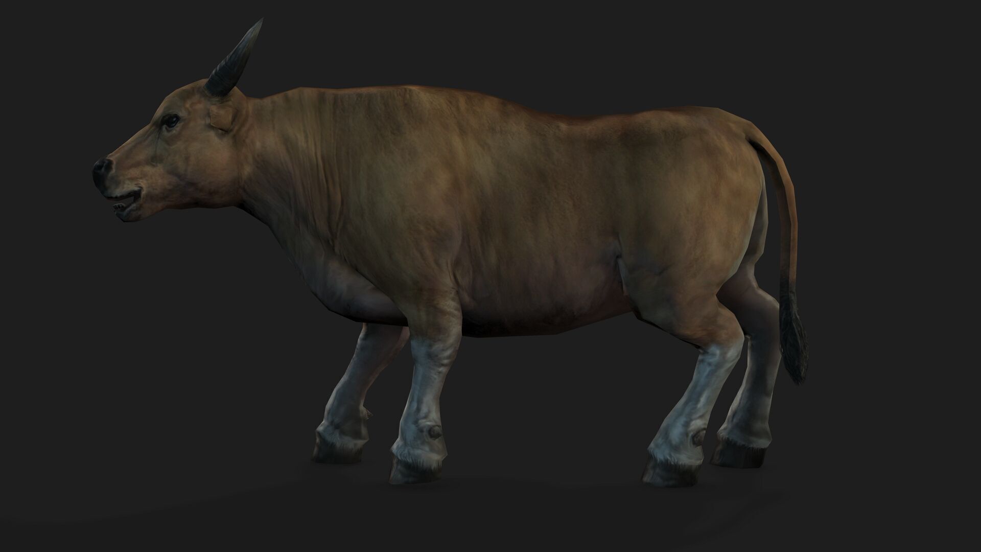 Realistic Cow Bull with Rigged body and Animation Low-poly 3D model_9