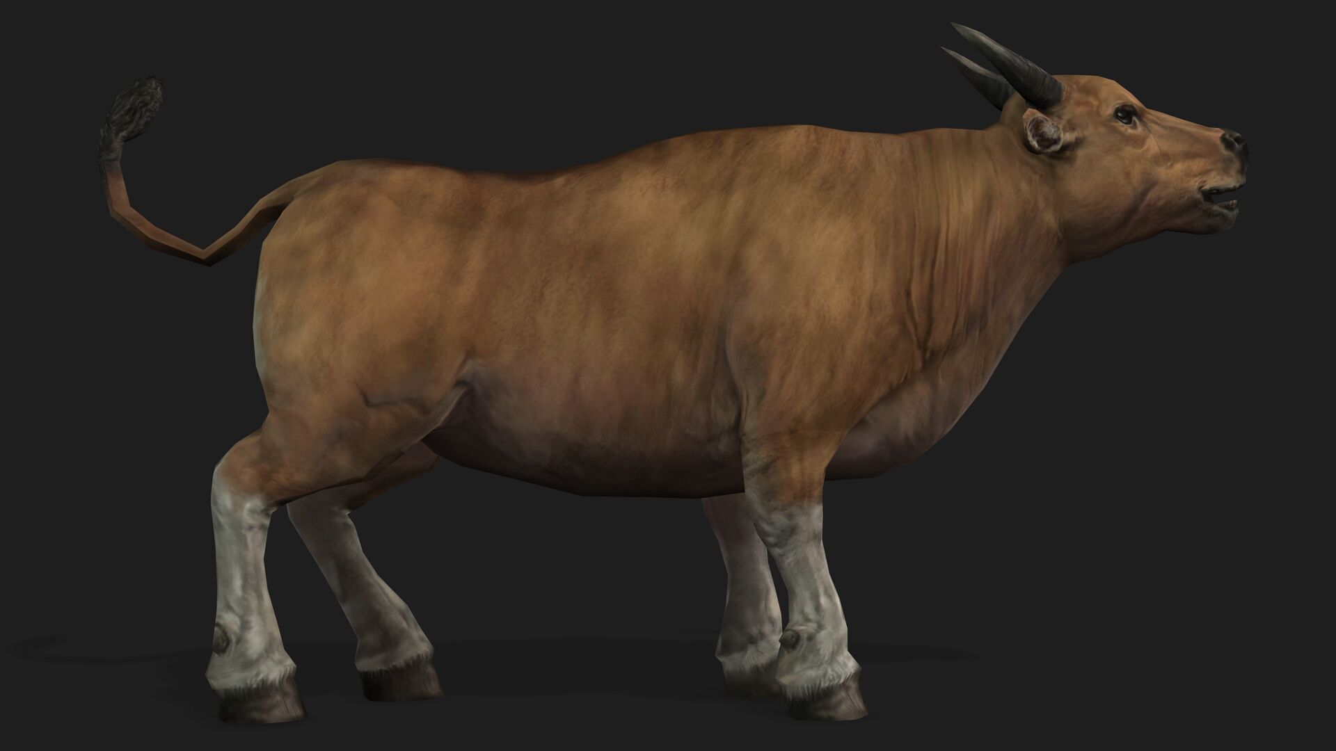 Realistic Cow Bull with Rigged body and Animation Low-poly 3D model_2