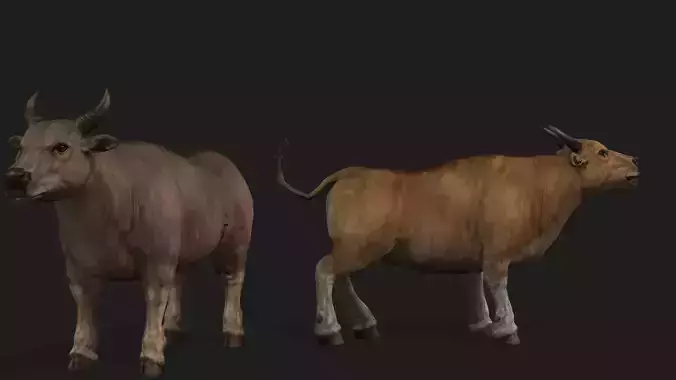 Realistic Cow Bull with Rigged body and Animation