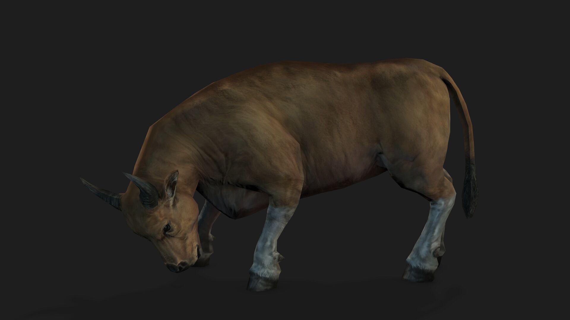 Realistic Cow Bull with Rigged body and Animation Low-poly 3D model_8