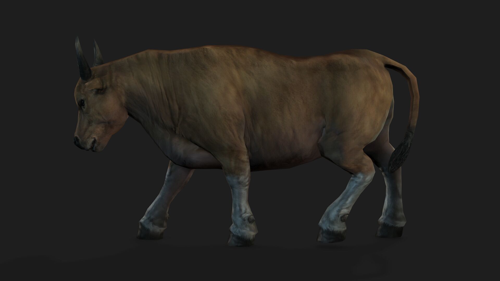 Realistic Cow Bull with Rigged body and Animation Low-poly 3D model_10