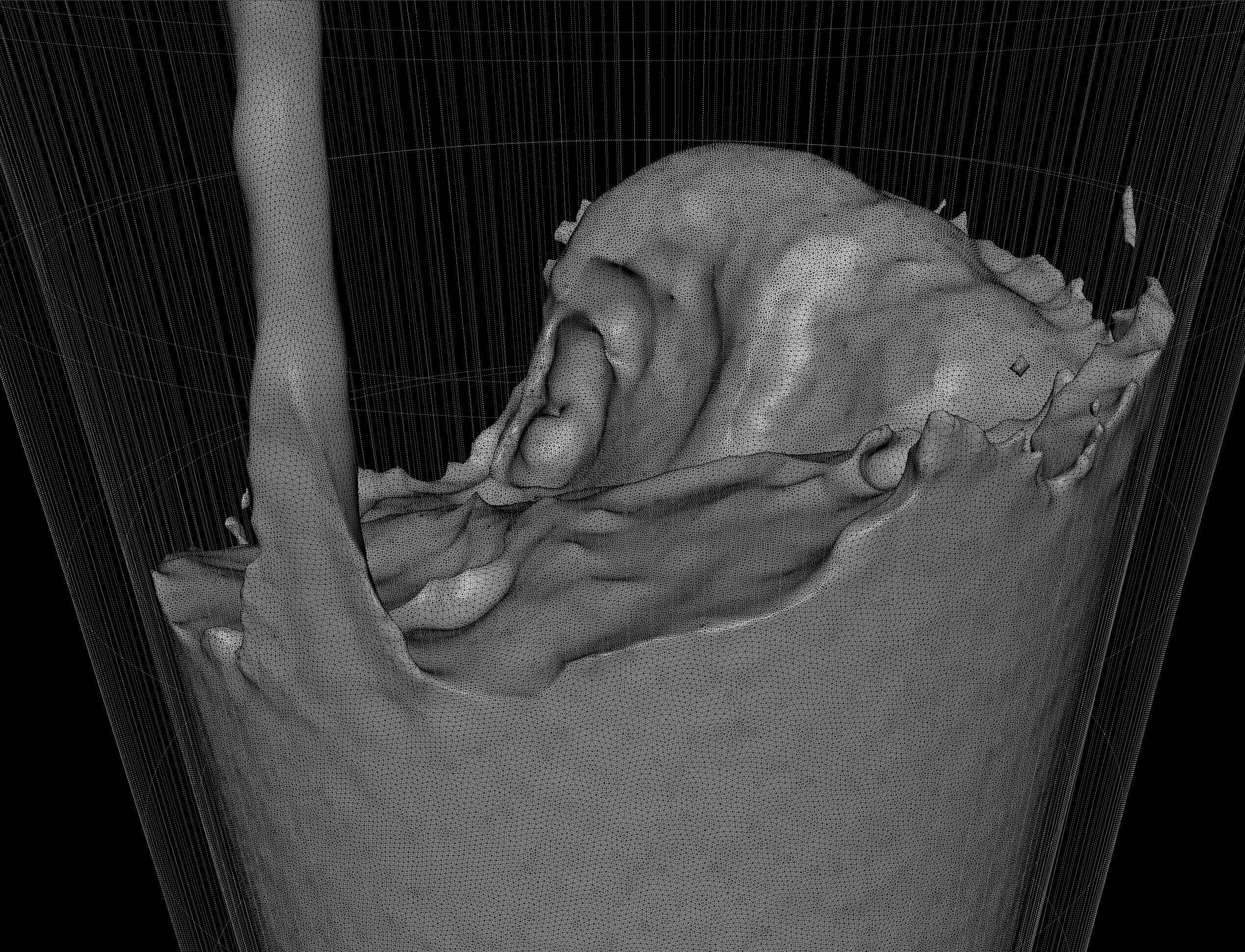 Water Pouring - Liquid Pouring - Simulated 3D model_7