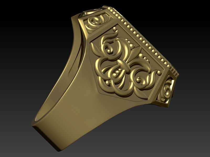 Coat Of Arms Ring Family Crest Ring 3D print model_14