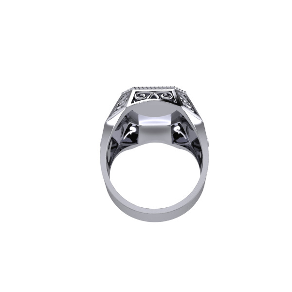 Coat Of Arms Ring Family Crest Ring 3D print model_7