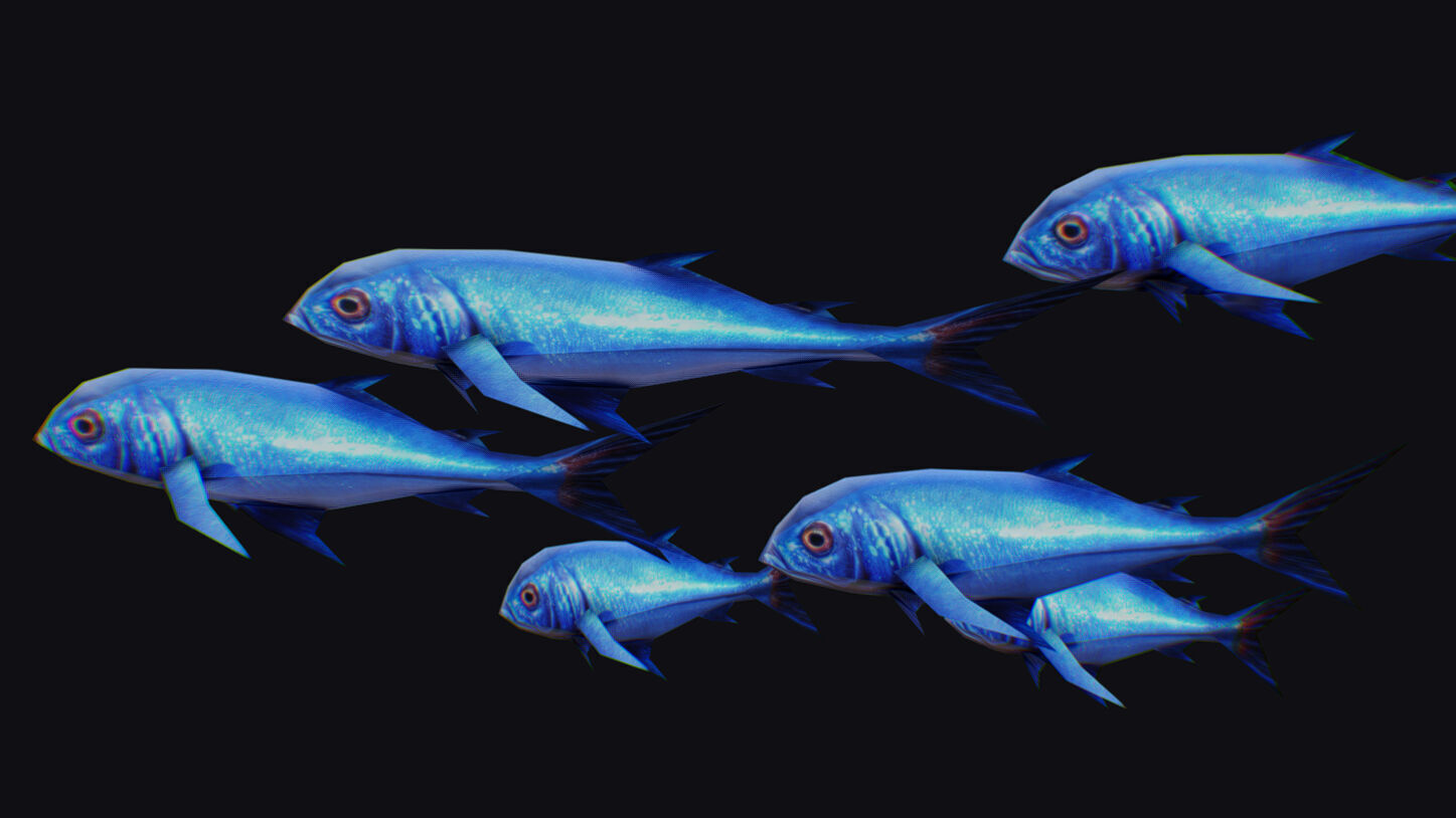 Rainbow Runner Animated Fish Flock Tuna Sea Animal Lowpoly Swarm Low-poly 3D model_10