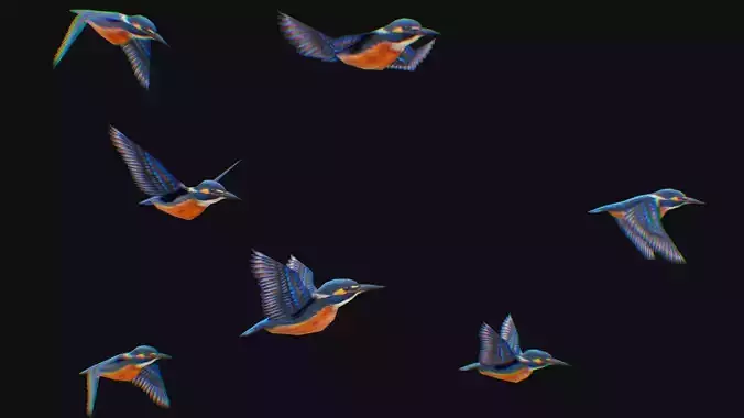 Kingfisher Flock Animated Bird Swarm Hummingbird Shoal Birds Low-poly 3D model