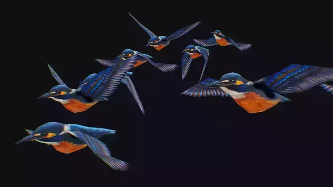 Kingfisher Flock Animated Bird Swarm Hummingbird Shoal Birds