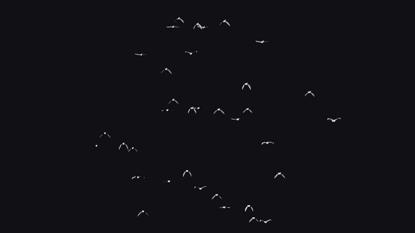 Flock White Bird Animated Swarm Dove Shoal Birds Seagull Low-poly 3D model_4