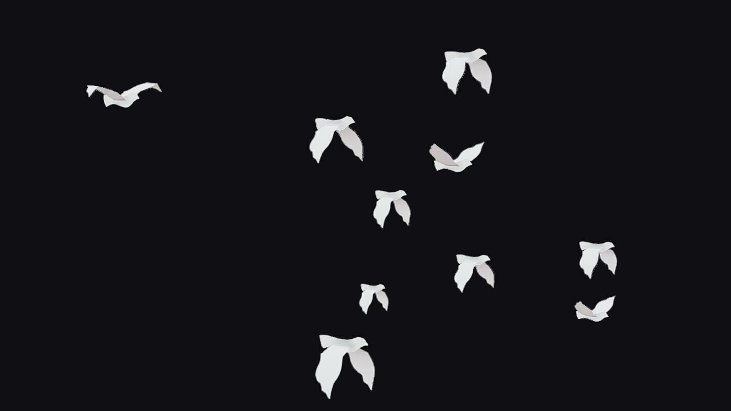 Flock White Bird Animated Swarm Dove Shoal Birds Seagull Low-poly 3D model_14