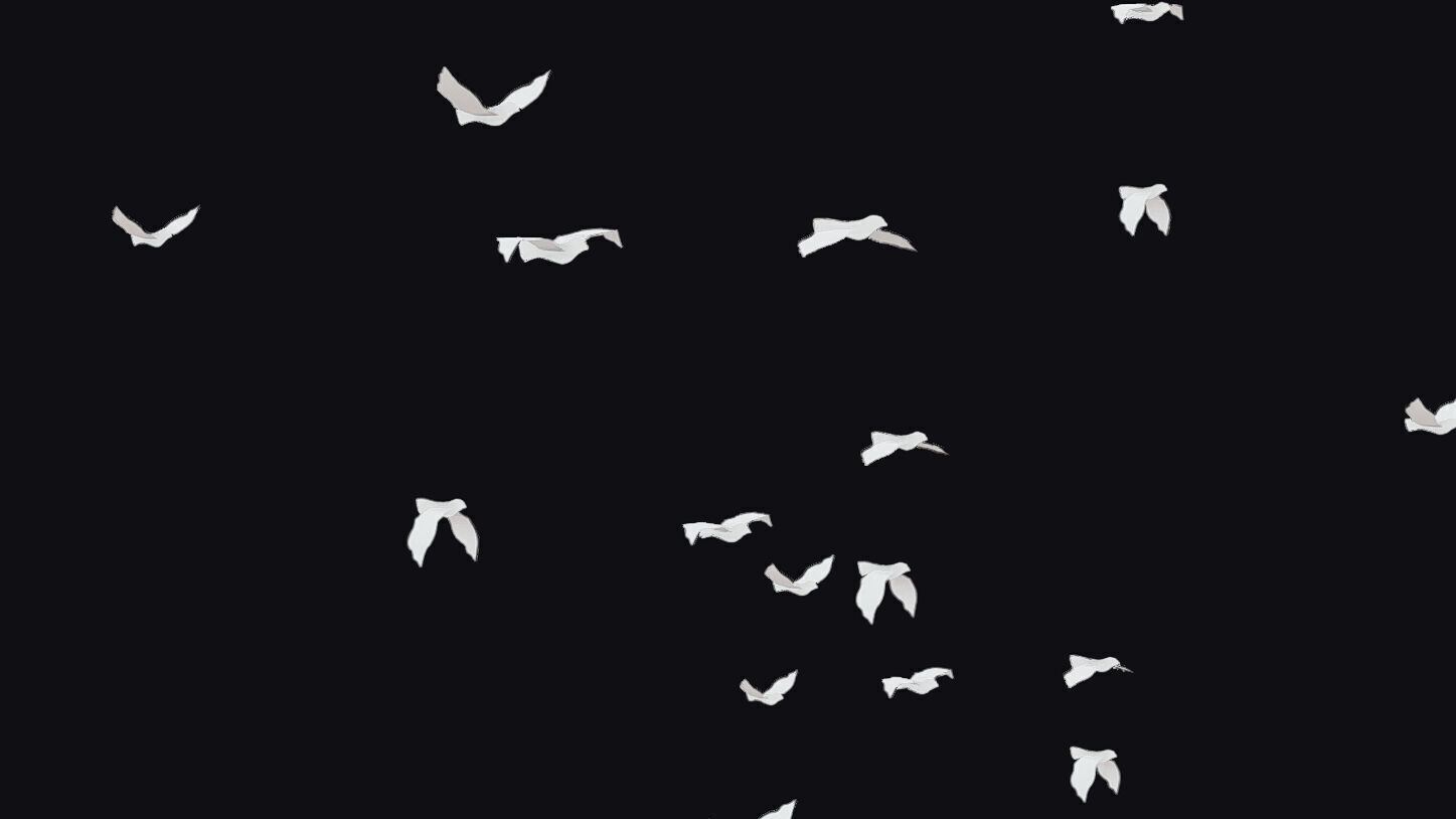 Flock White Bird Animated Swarm Dove Shoal Birds Seagull Low-poly 3D model_13