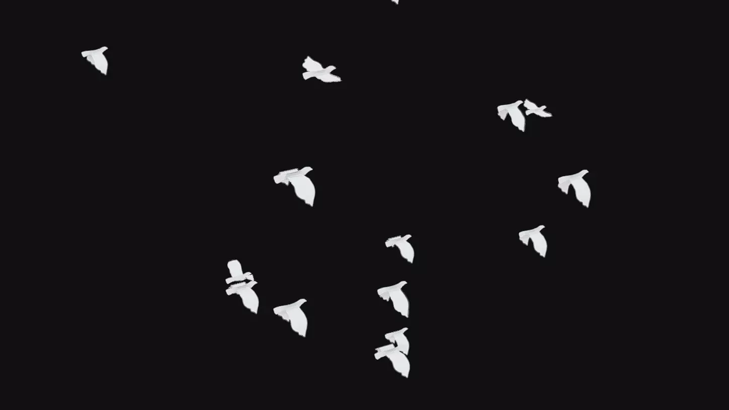 Flock White Bird Animated Swarm Dove Shoal Birds Seagull Low-poly 3D model_0
