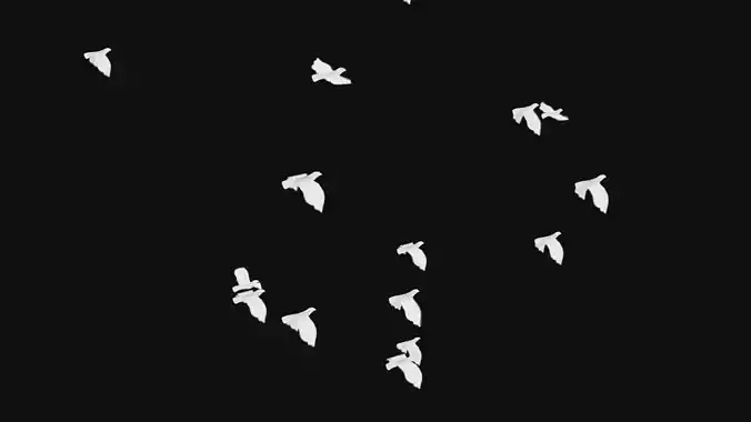 Flock White Bird Animated Swarm Dove Shoal Birds Seagull