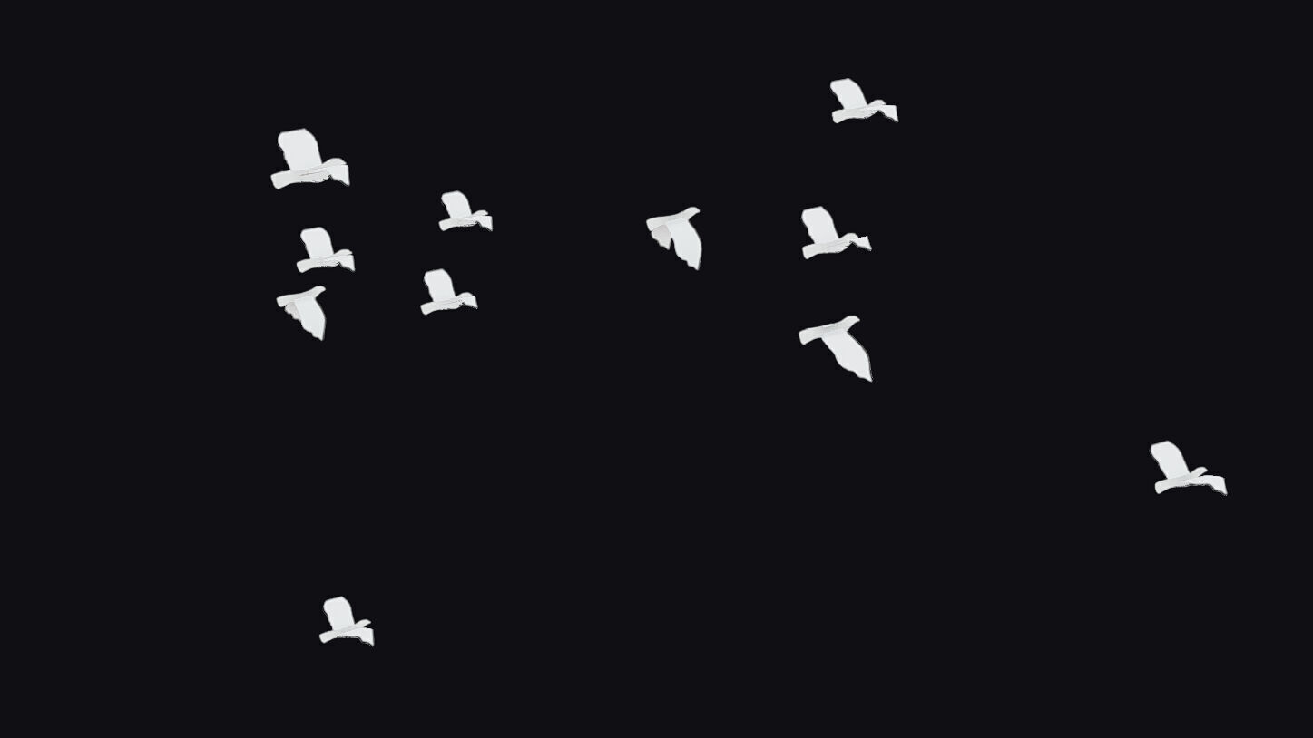 Flock White Bird Animated Swarm Dove Shoal Birds Seagull Low-poly 3D model_10