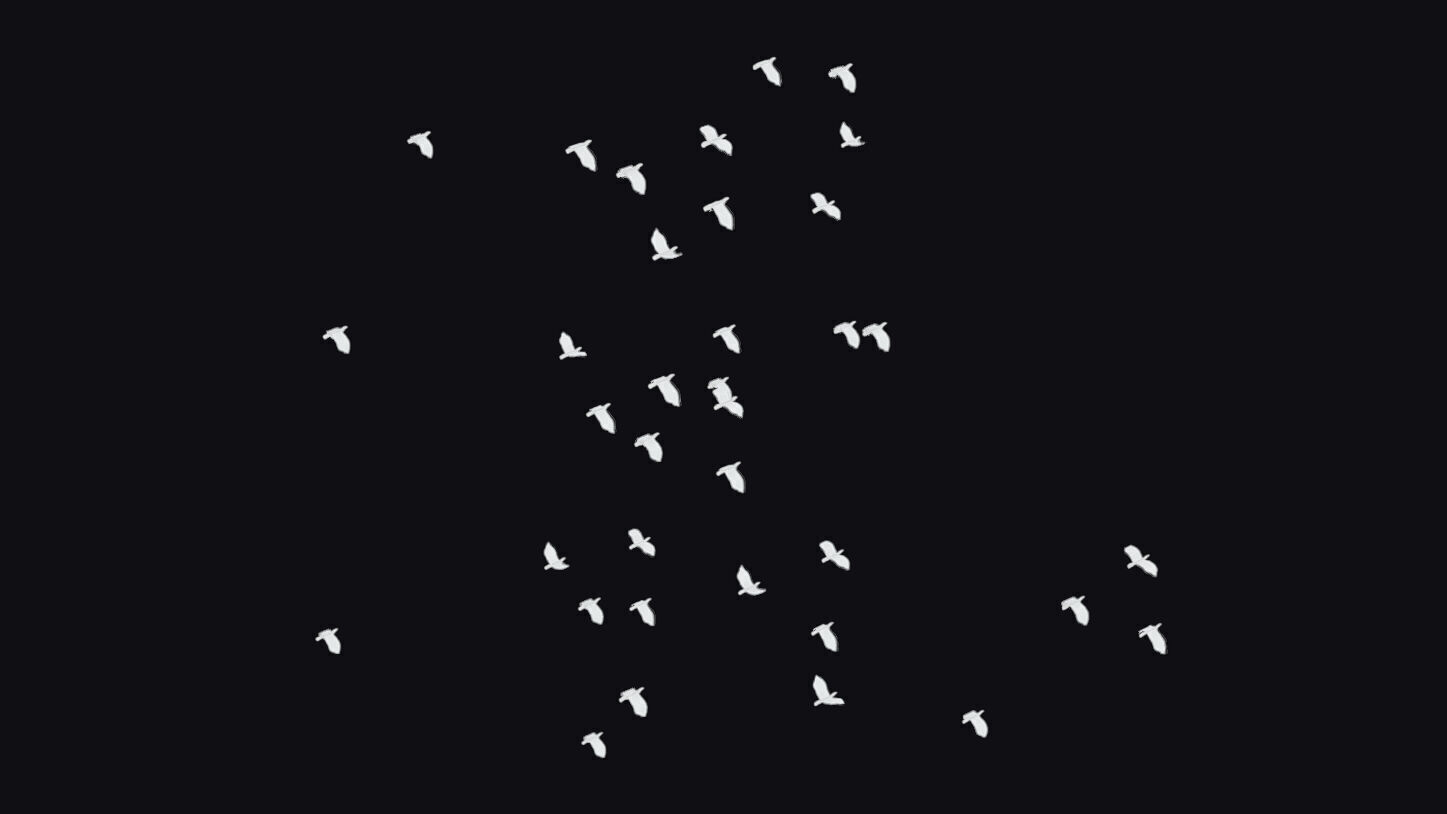 Flock White Bird Animated Swarm Dove Shoal Birds Seagull Low-poly 3D model_9