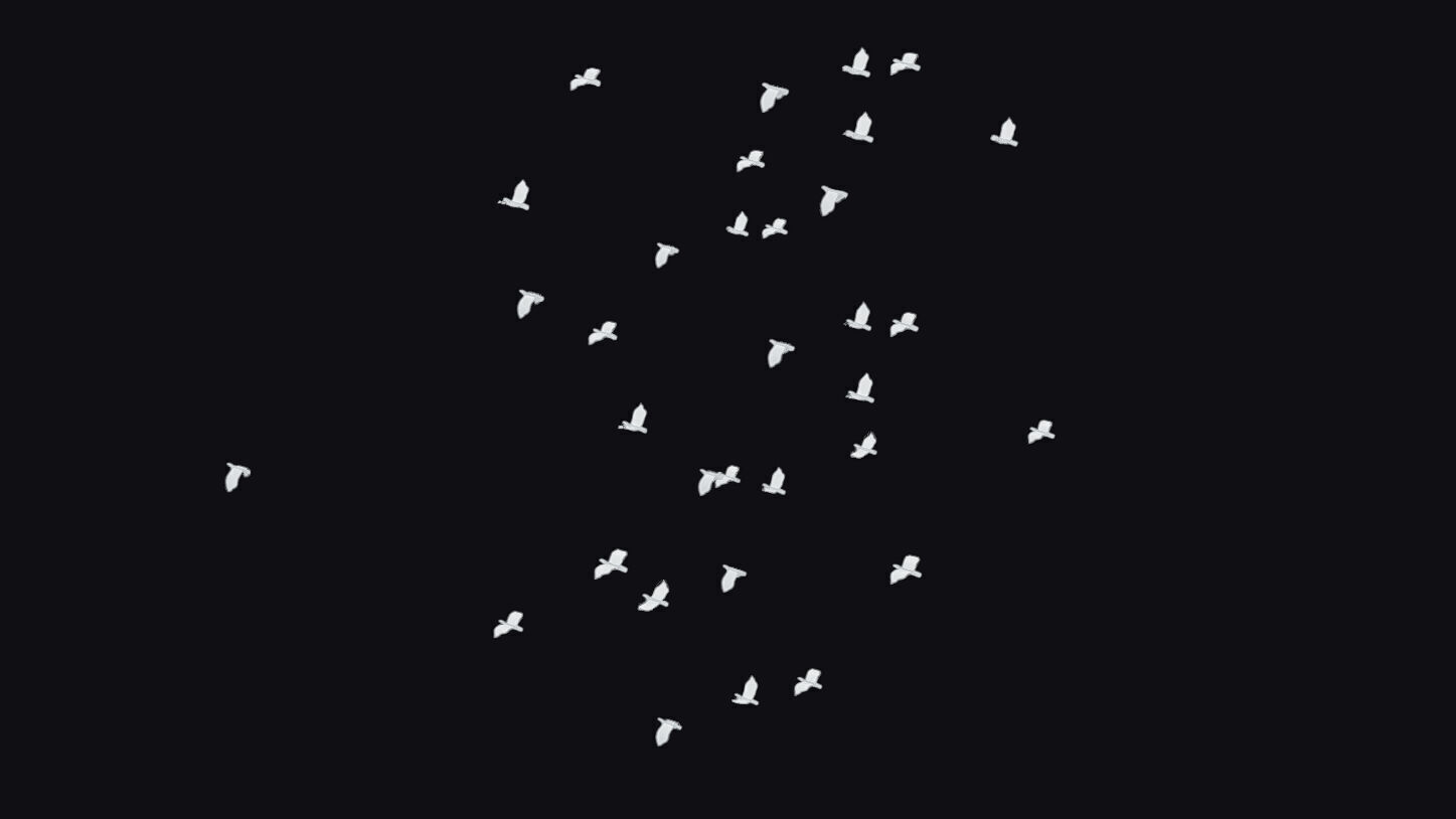 Flock White Bird Animated Swarm Dove Shoal Birds Seagull Low-poly 3D model_8