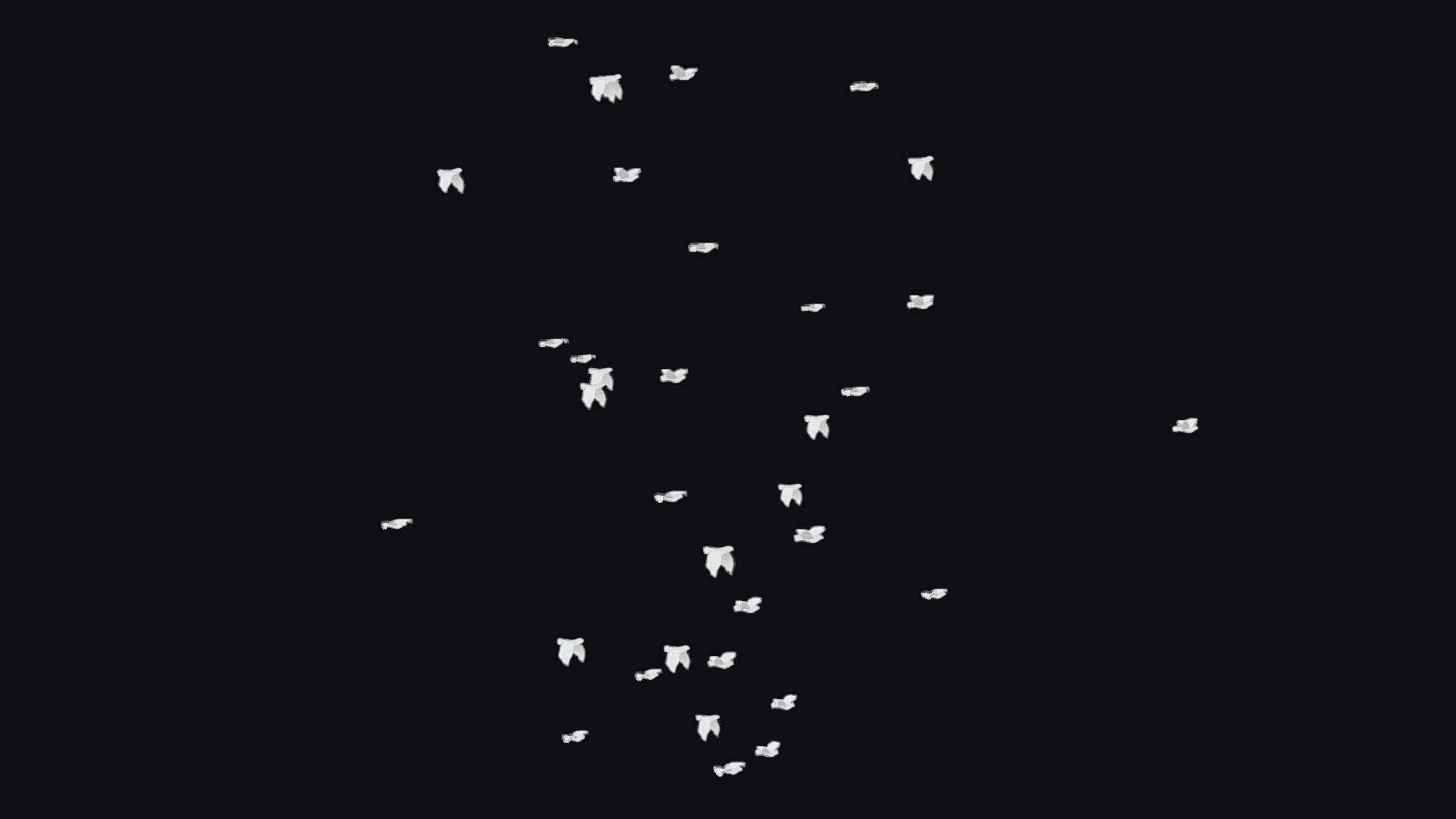 Flock White Bird Animated Swarm Dove Shoal Birds Seagull Low-poly 3D model_1