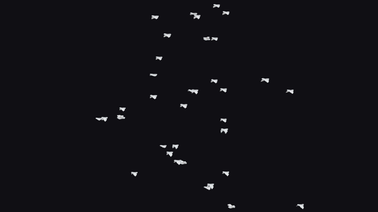 Flock White Bird Animated Swarm Dove Shoal Birds Seagull Low-poly 3D model_6