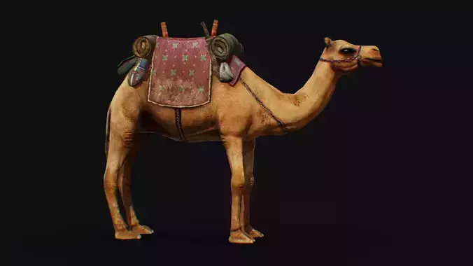 Camel Harnessed Desert Animal Lowpoly 3d Model Mammal Low-poly 3D model