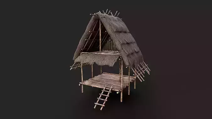 Primitive Wooden Shelter with Thatch Roof 1 