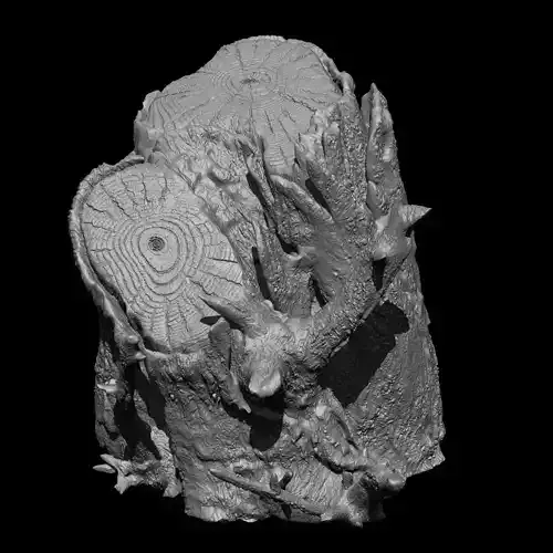 Tree Stump - High Poly Sculpt