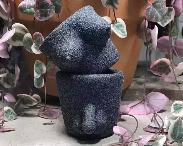 Plant Pots - Planters - Body Parts Male and Female 3D print model