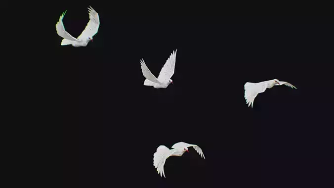 Dove Flock White Bird Animated Swarm Shoal Birds Lowpoly Doves Low-poly 3D model