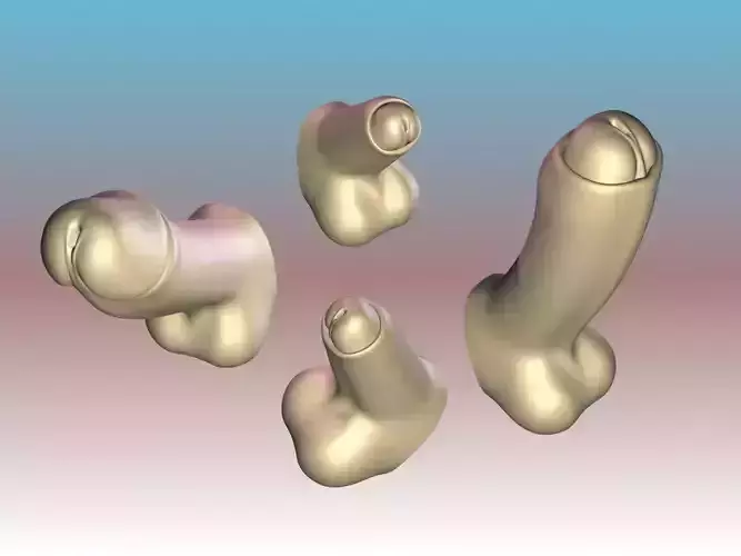 Level-A Animated Penis Low-poly 3D model