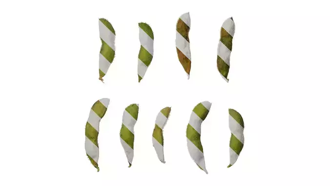 Anydrafts Glycine max Fruit 01