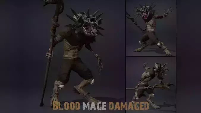 Blood Mage Damaged