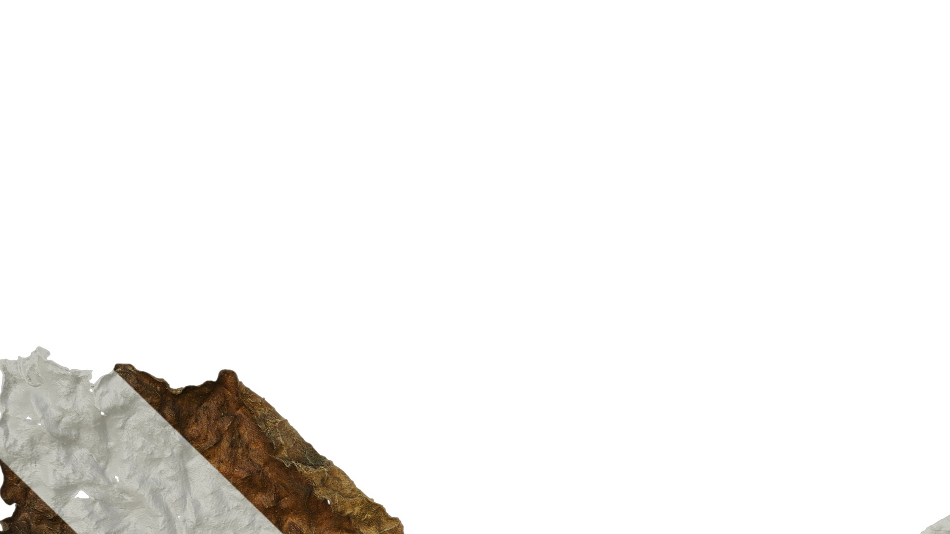 Anydrafts Lablab purpureus Leaf 04 Texture_1