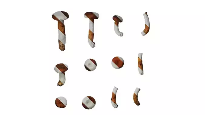 Anydrafts Lactarius volemus Atlas 01