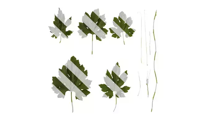 Anydrafts Momordica charantia Atlas 02