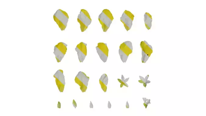 Anydrafts Momordica charantia Flower 02