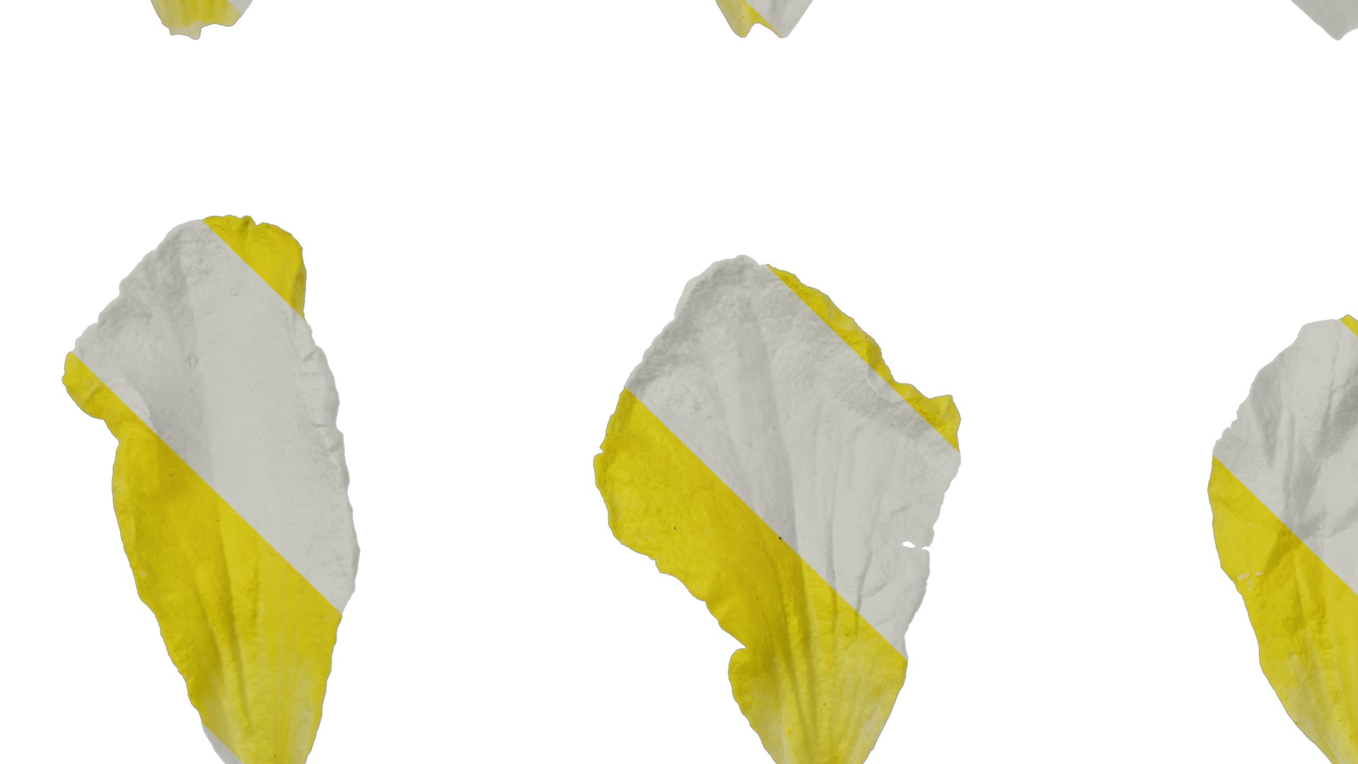 Anydrafts Momordica charantia Flower 02 Texture_5