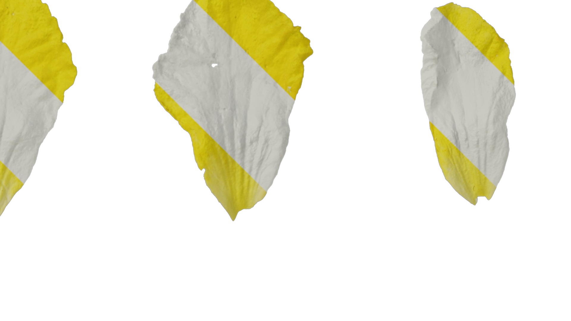 Anydrafts Momordica charantia Flower 02 Texture_2