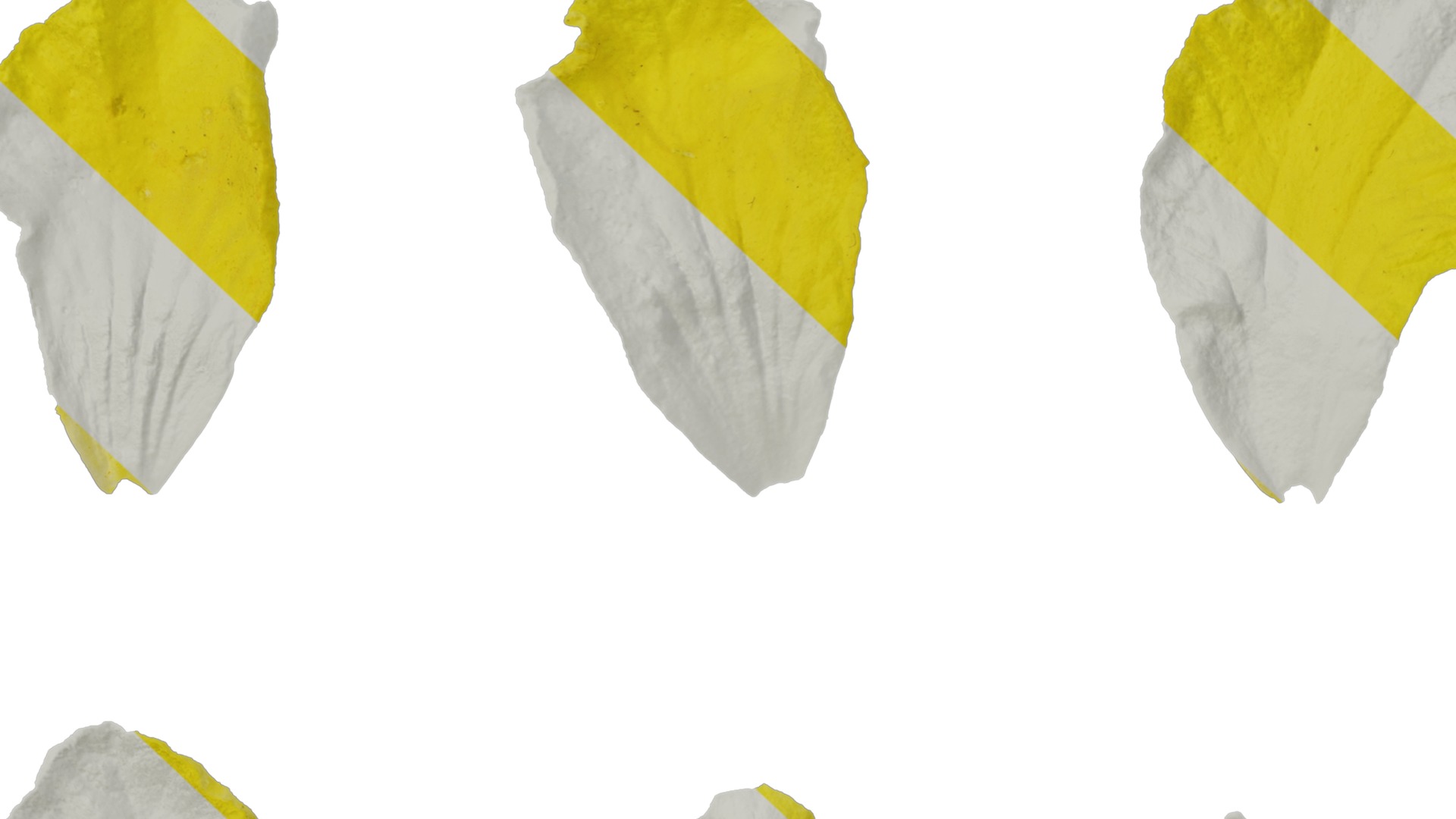 Anydrafts Momordica charantia Flower 02 Texture_7