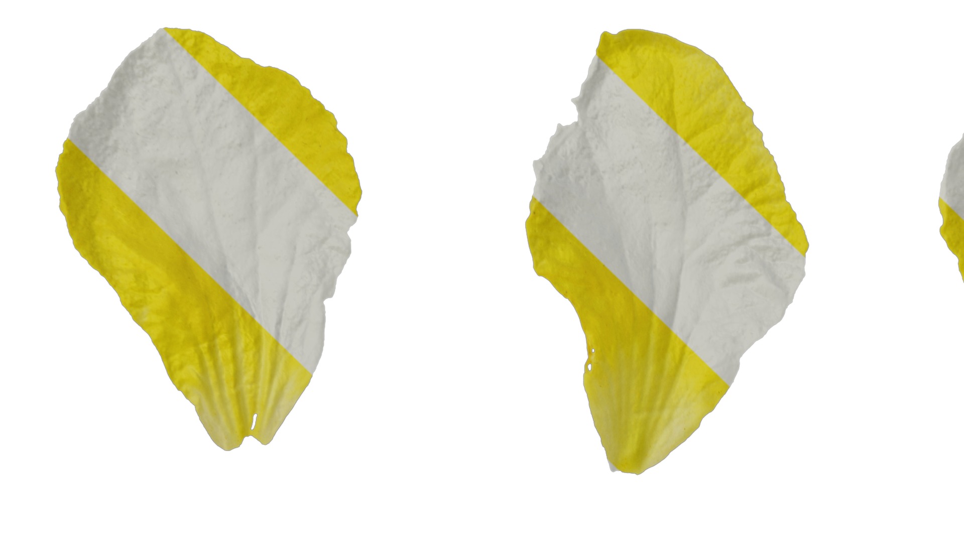 Anydrafts Momordica charantia Flower 02 Texture_1