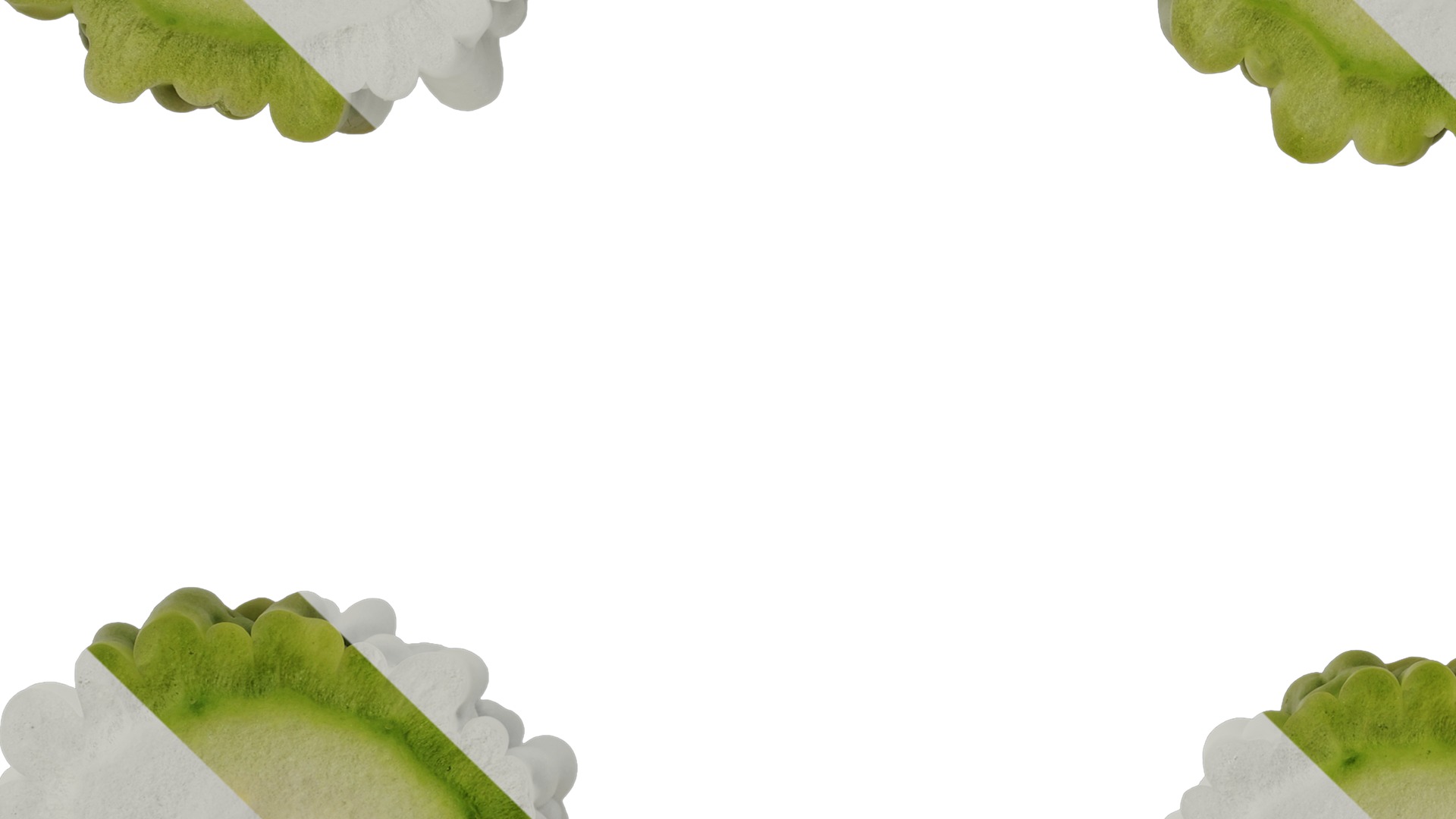 Anydrafts Momordica charantia Fruit 02 Texture_5