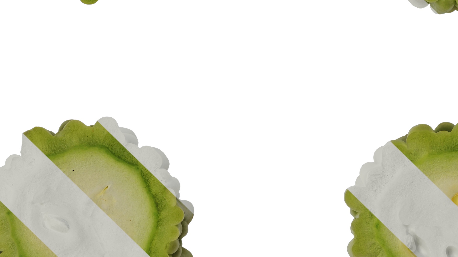 Anydrafts Momordica charantia Fruit 02 Texture_3